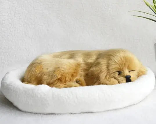 Simulation Dog Fur Animal - 11 Étoiles