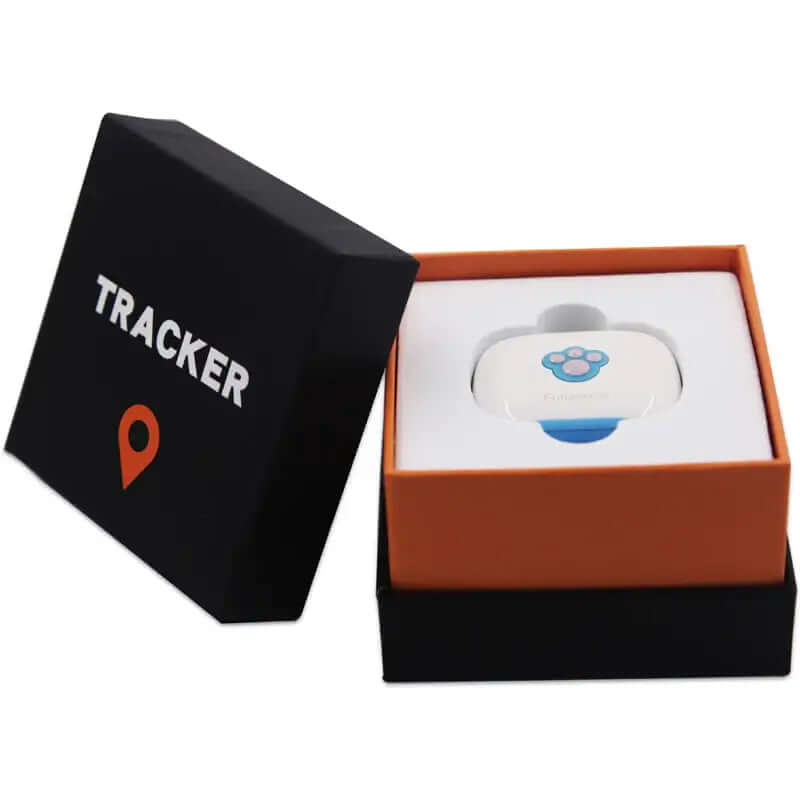 Collar GPS para gatos
