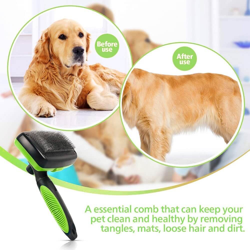 Self Cleaning Dog Brush - 11 Étoiles