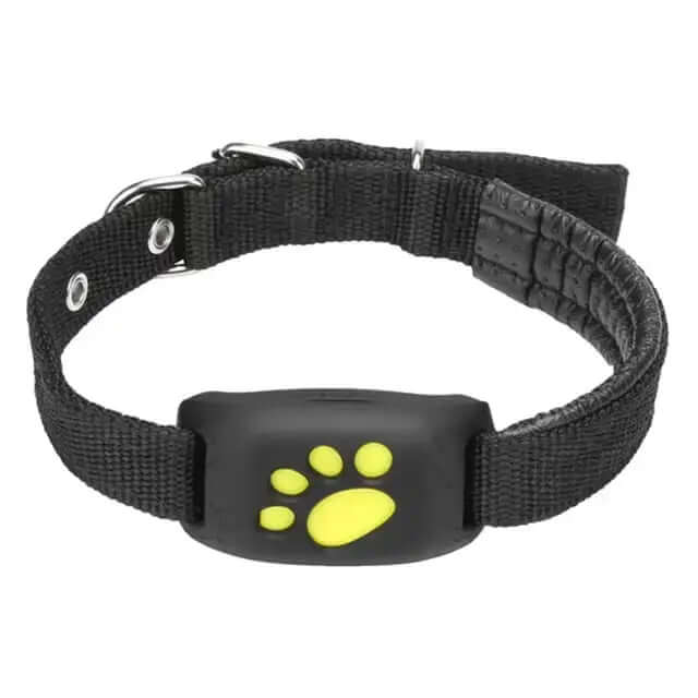 Collier de suivi GPS universel pour animaux de compagnie