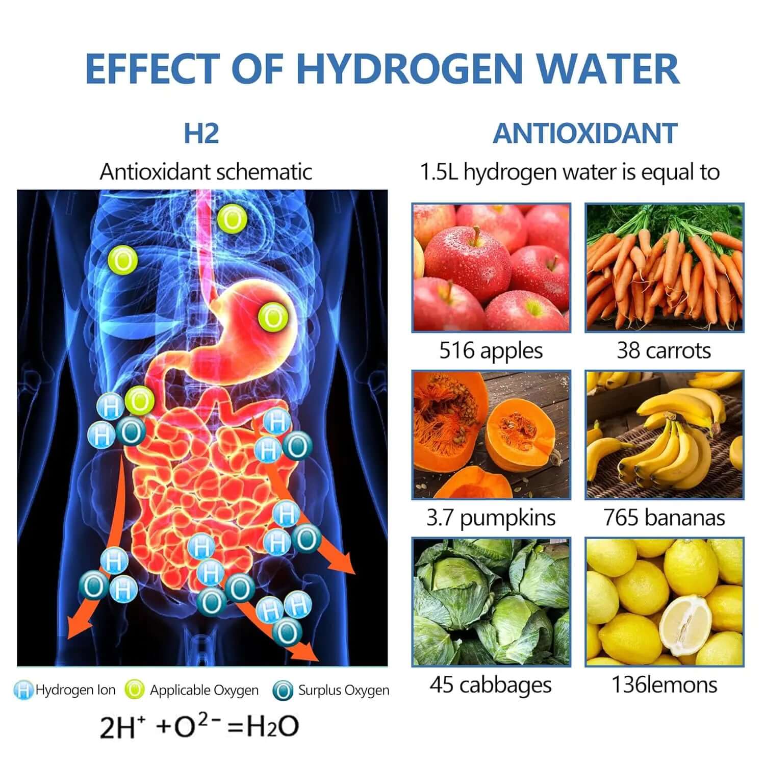 Portable Hydrogen Water Generator