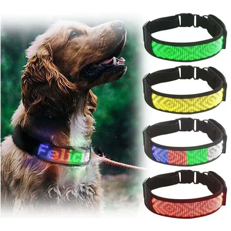 Collar luminoso con Bluetooth para mascotas