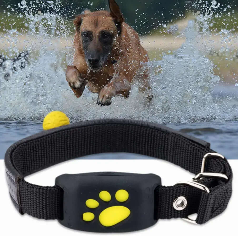 Collier de suivi GPS universel pour animaux de compagnie