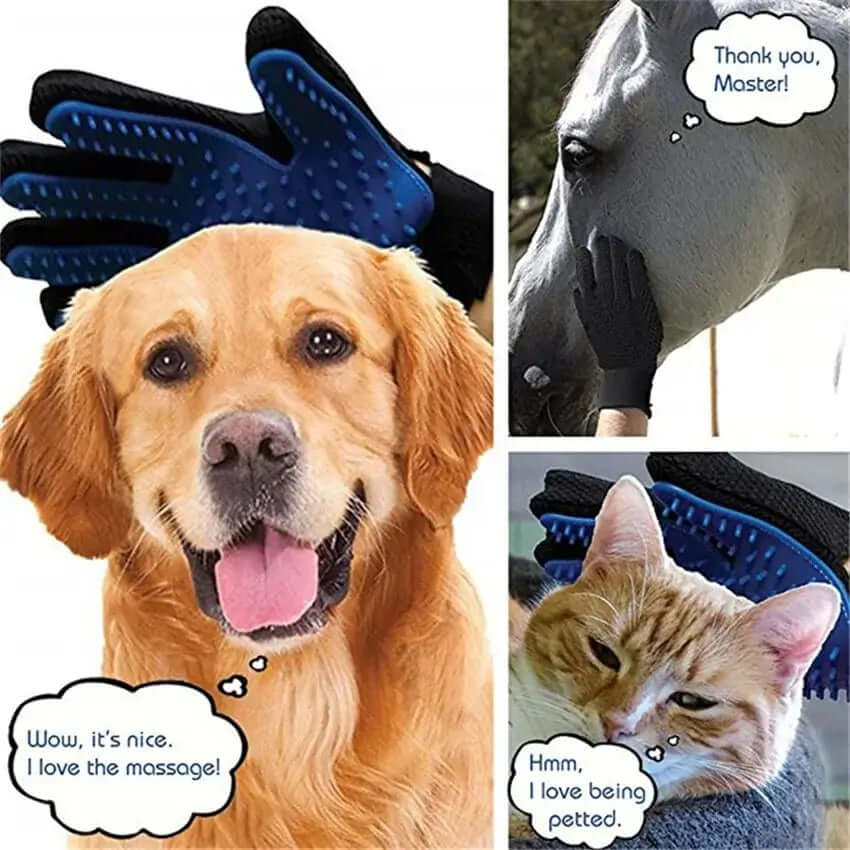 Gants de toilettage pour animaux de compagnie