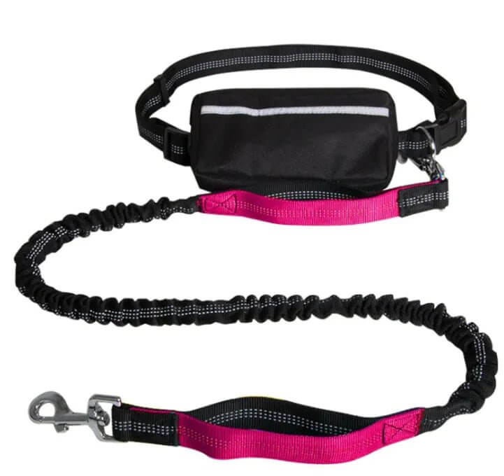 Reflecto Leash Hands-Free Dog Lead - 11 Étoiles
