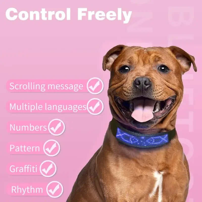 Collar luminoso con Bluetooth para mascotas