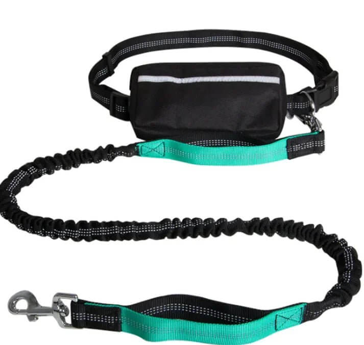 Reflecto Leash Hands-Free Dog Lead - 11 Étoiles