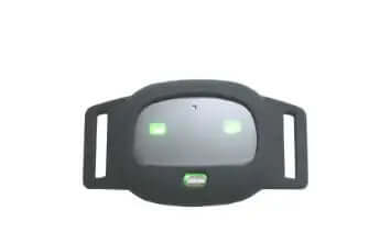 Collar GPS para gatos