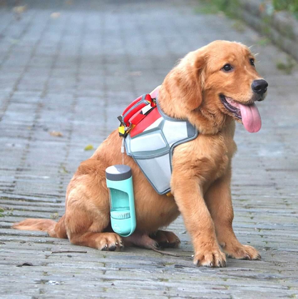 Portable Dog Drinker Bottle - 11 Étoiles