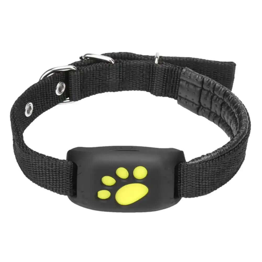 Collier de suivi GPS universel pour animaux de compagnie