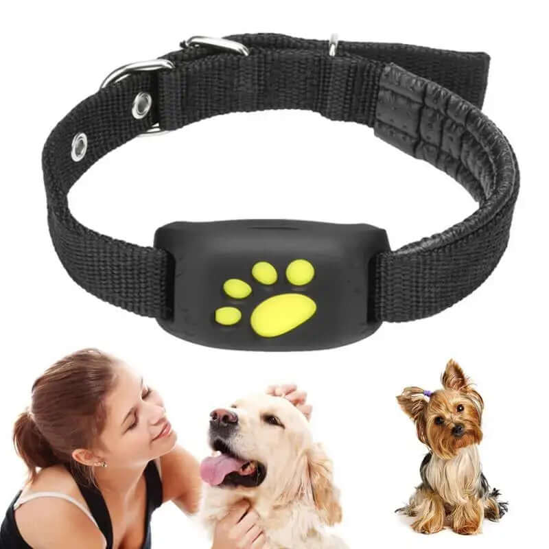 Collier de suivi GPS universel pour animaux de compagnie