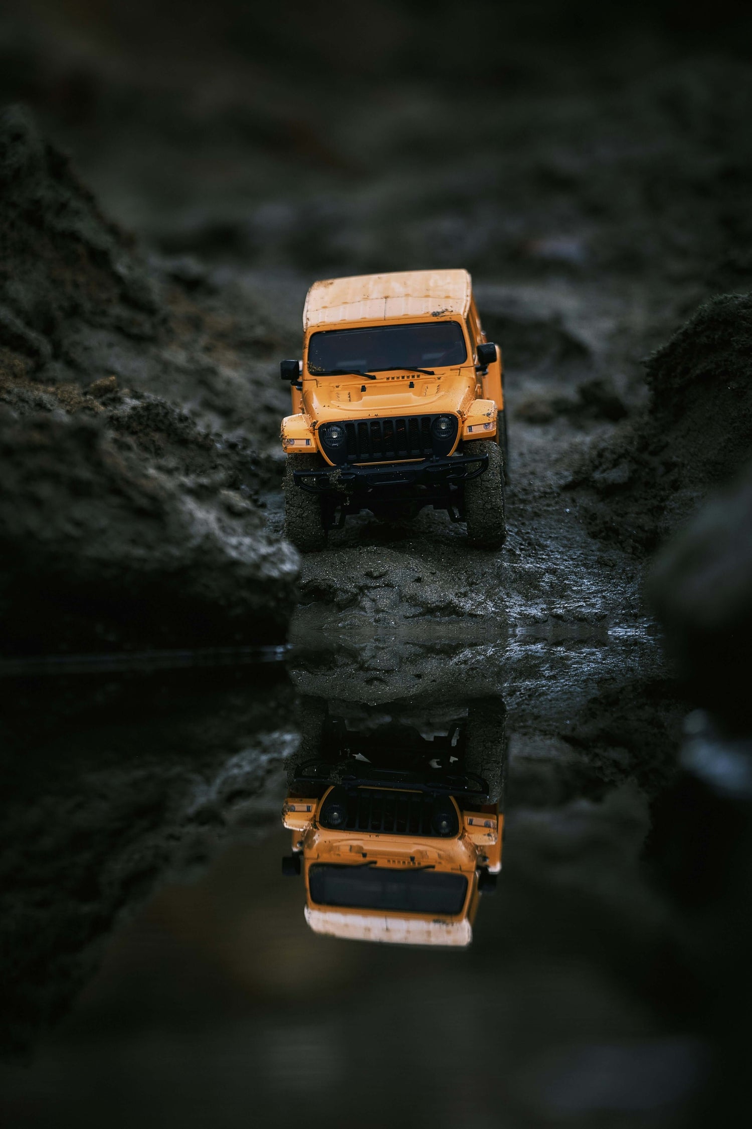 Photo de luca-beani Thanks sur Unsplash