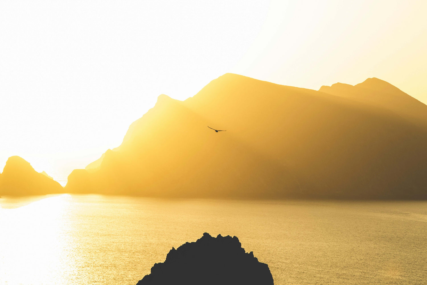 Photo de _jeremy-bishop sur Unsplash