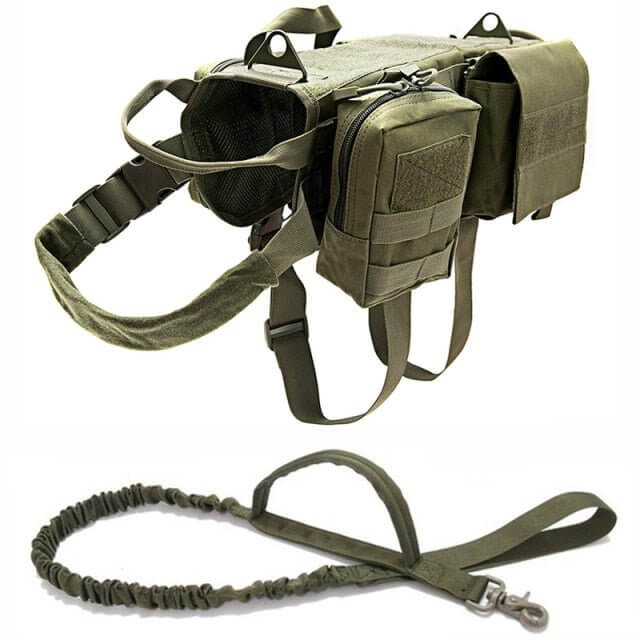 Tactical Military Dog Harness - 11 Étoiles