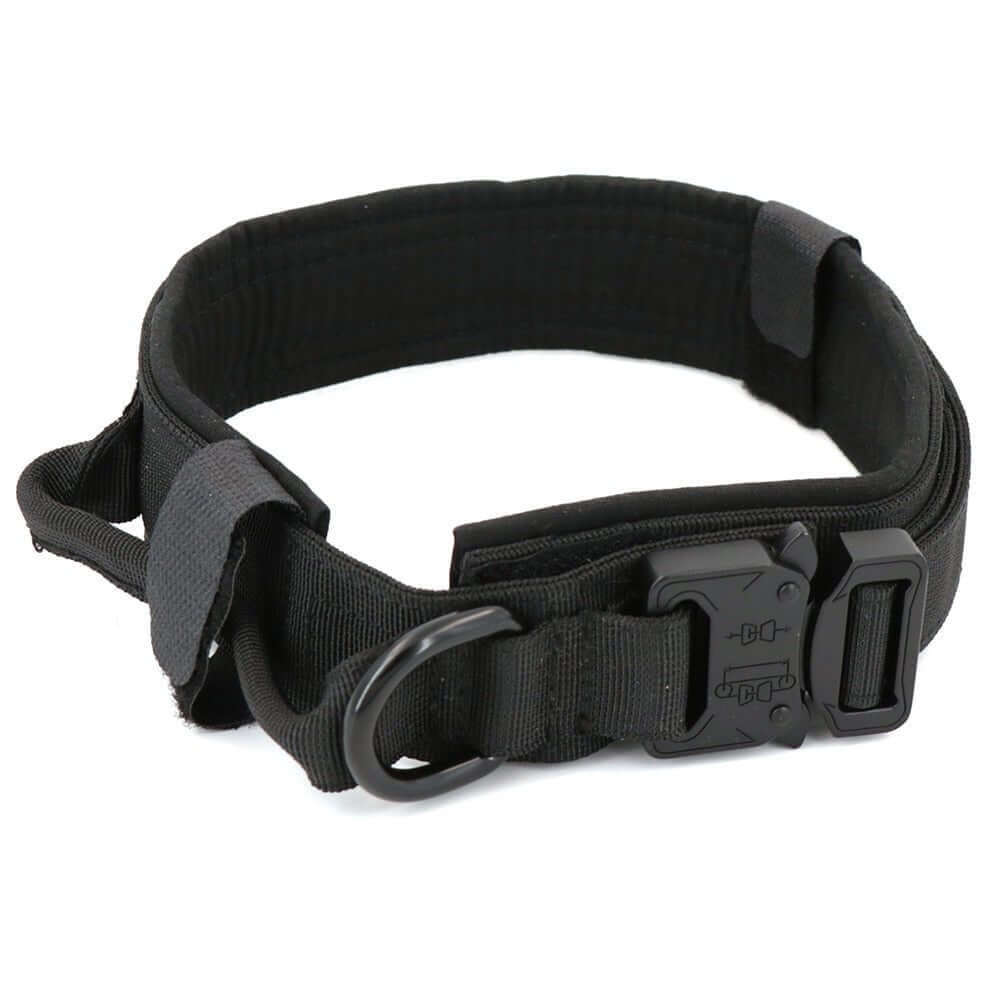 Dog Collar - 11 Étoiles