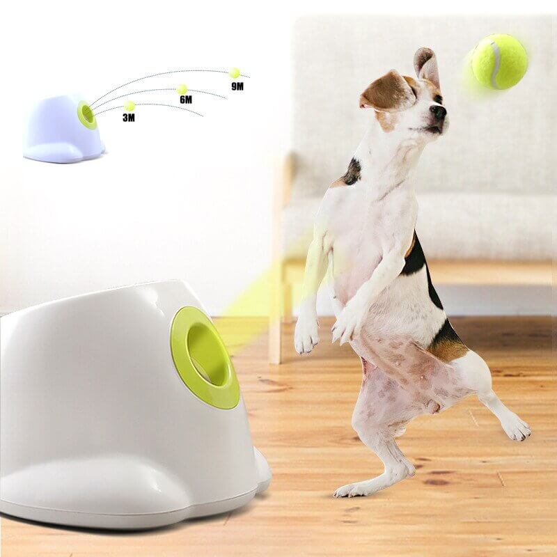 Dog pet Tennis Launcher - 11 Étoiles