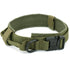 Dog Collar - 11 Étoiles