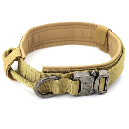 Dog Collar - 11 Étoiles