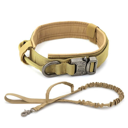 Dog Collar - 11 Étoiles