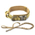 Dog Collar - 11 Étoiles