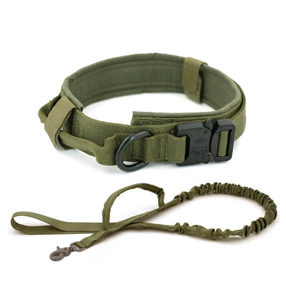 Dog Collar - 11 Étoiles