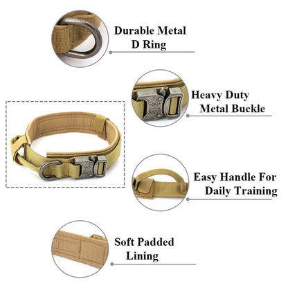 Dog Collar - 11 Étoiles