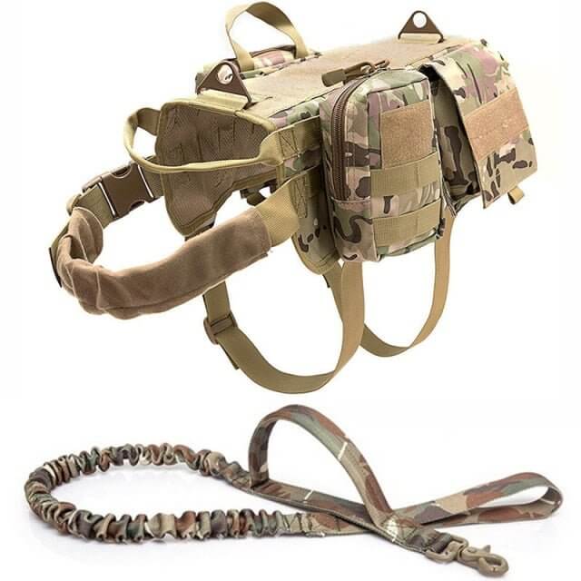 Tactical Military Dog Harness - 11 Étoiles