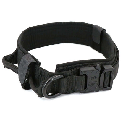Dog Collar - 11 Étoiles