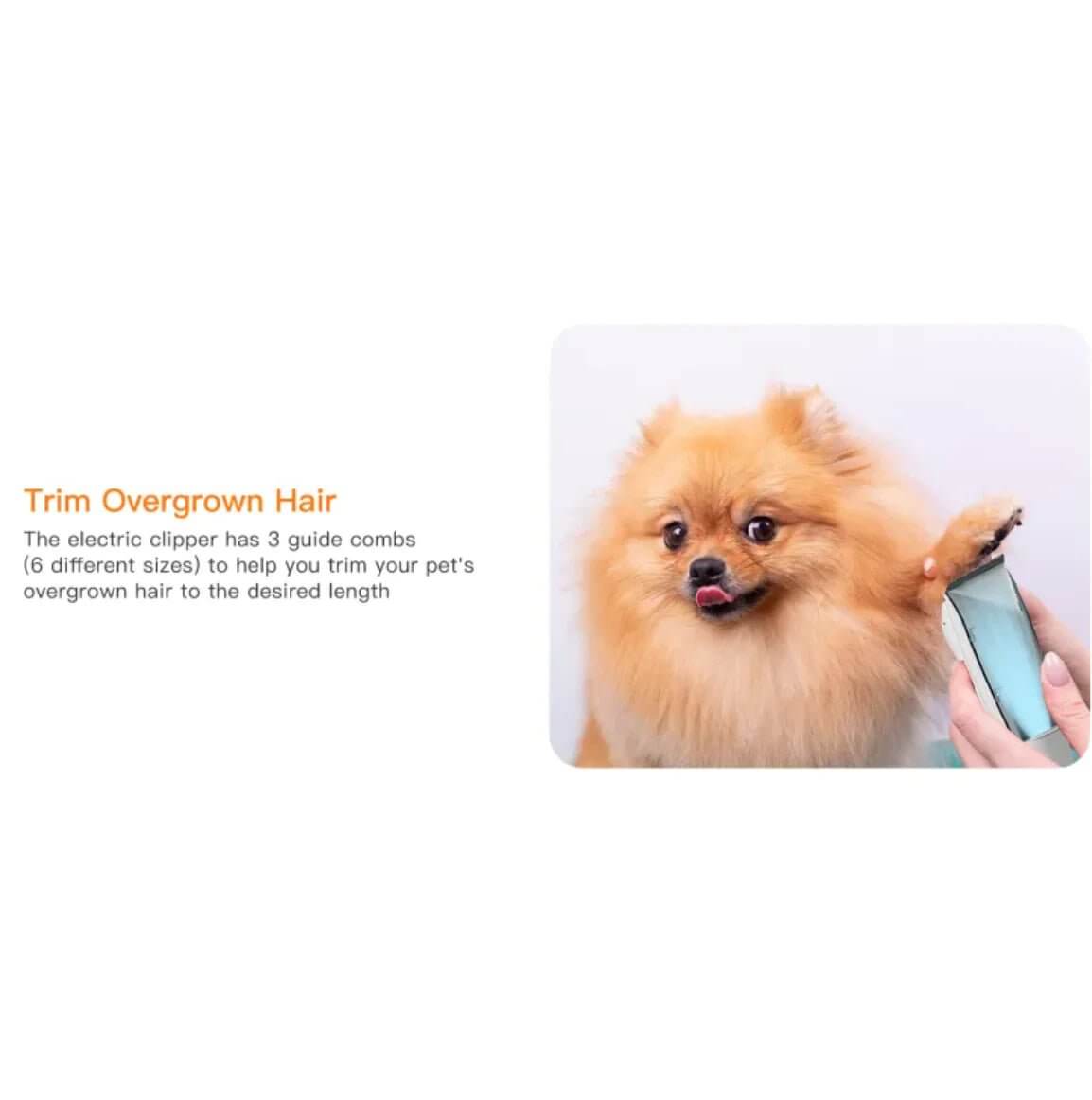 Acondicionador y limpiador multifuncional para el pelo de mascotas