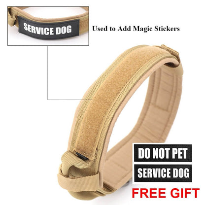 Dog Collar - 11 Étoiles