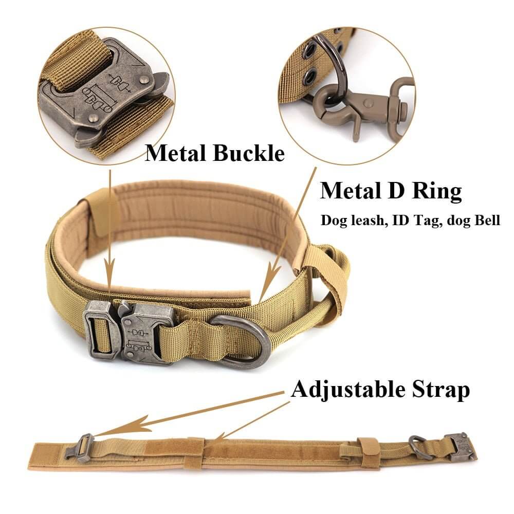 Dog Collar - 11 Étoiles