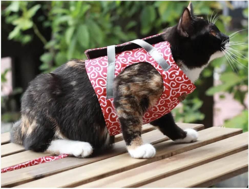 Correa de remolque para gatos con agarre cómodo