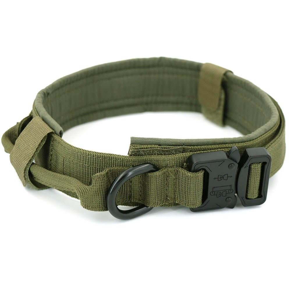 Dog Collar - 11 Étoiles