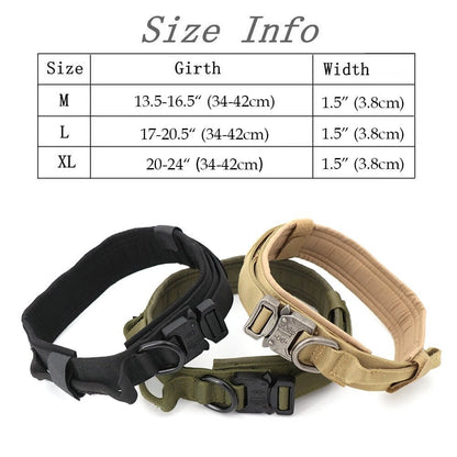 Dog Collar - 11 Étoiles