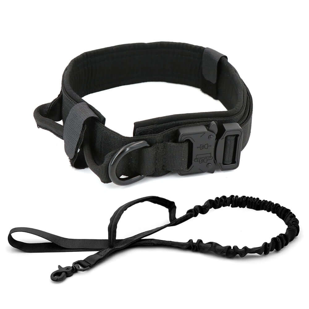 Dog Collar - 11 Étoiles