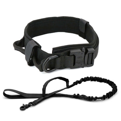 Dog Collar - 11 Étoiles