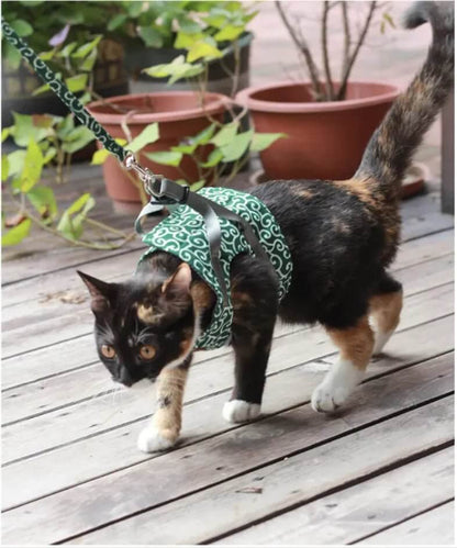 Correa de remolque para gatos con agarre cómodo