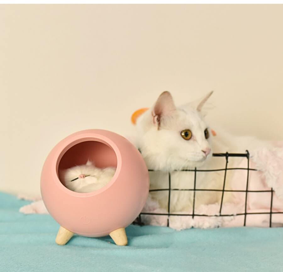 LED Cat Light USB - 11 Étoiles